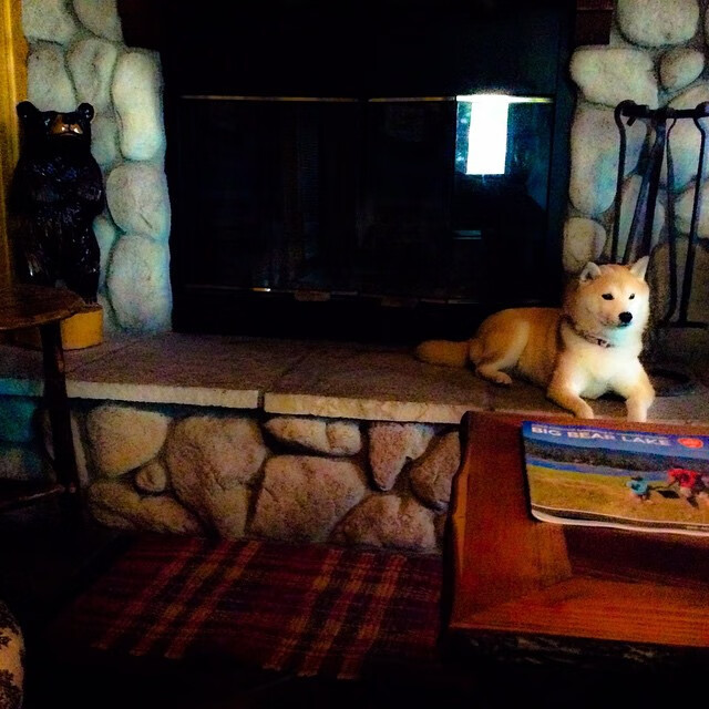 “费尔南多·比亚尔巴的球技突破,引领阿根廷美洲狮队走向辉煌”