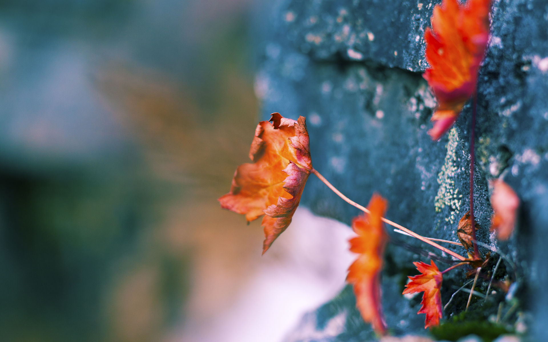 “沙滩排球：高新体育中心赛场让你领略速度与技巧的结合”