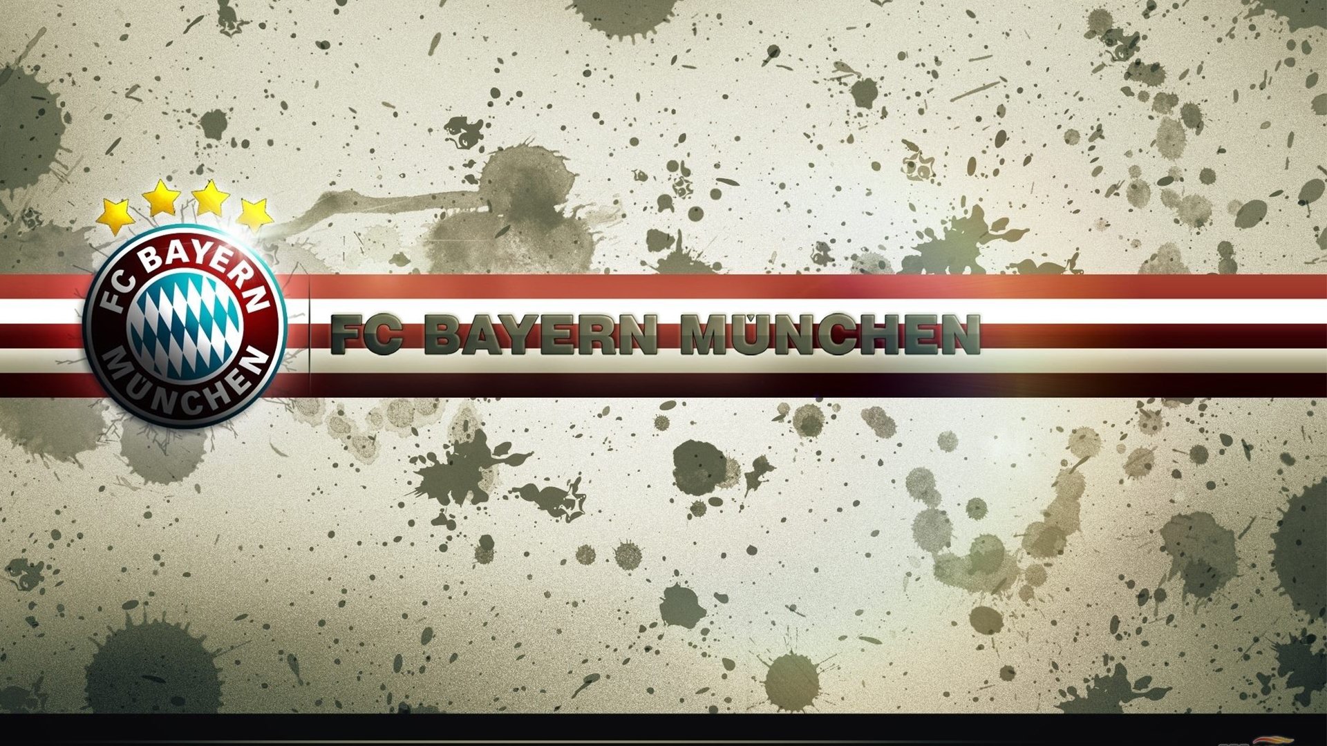 “萨尔·巴赫：南非新一代橄榄球天才”